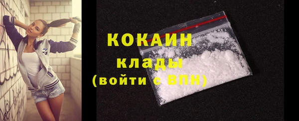стаф Арсеньев