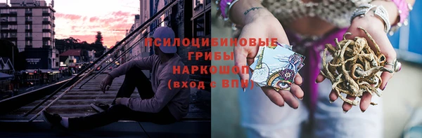 дживик Армянск