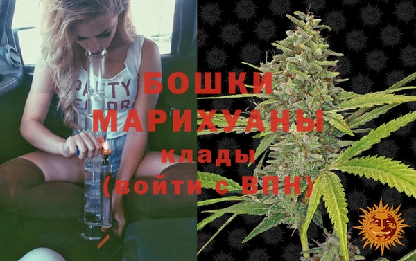 стаф Арсеньев