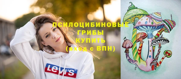 дживик Армянск