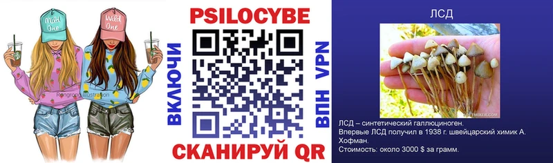 как найти Кимры Псилоцибиновые грибы Psilocybine cubensis
